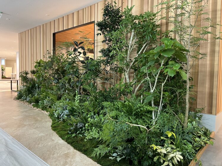 オフィスに取り入れる”植物”の話