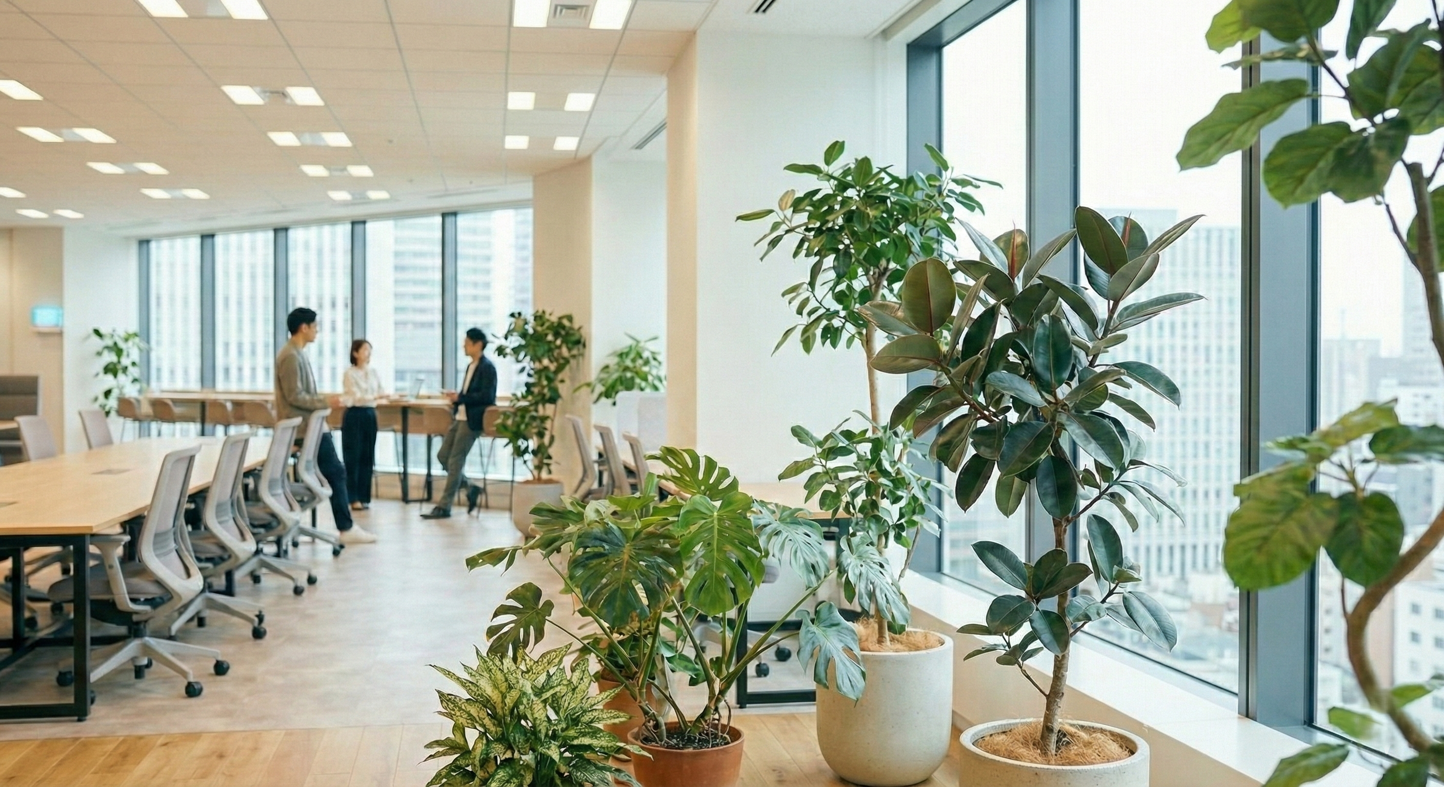 オフィスに植物を置くなら、本物？フェイク？迷わないための基礎知識