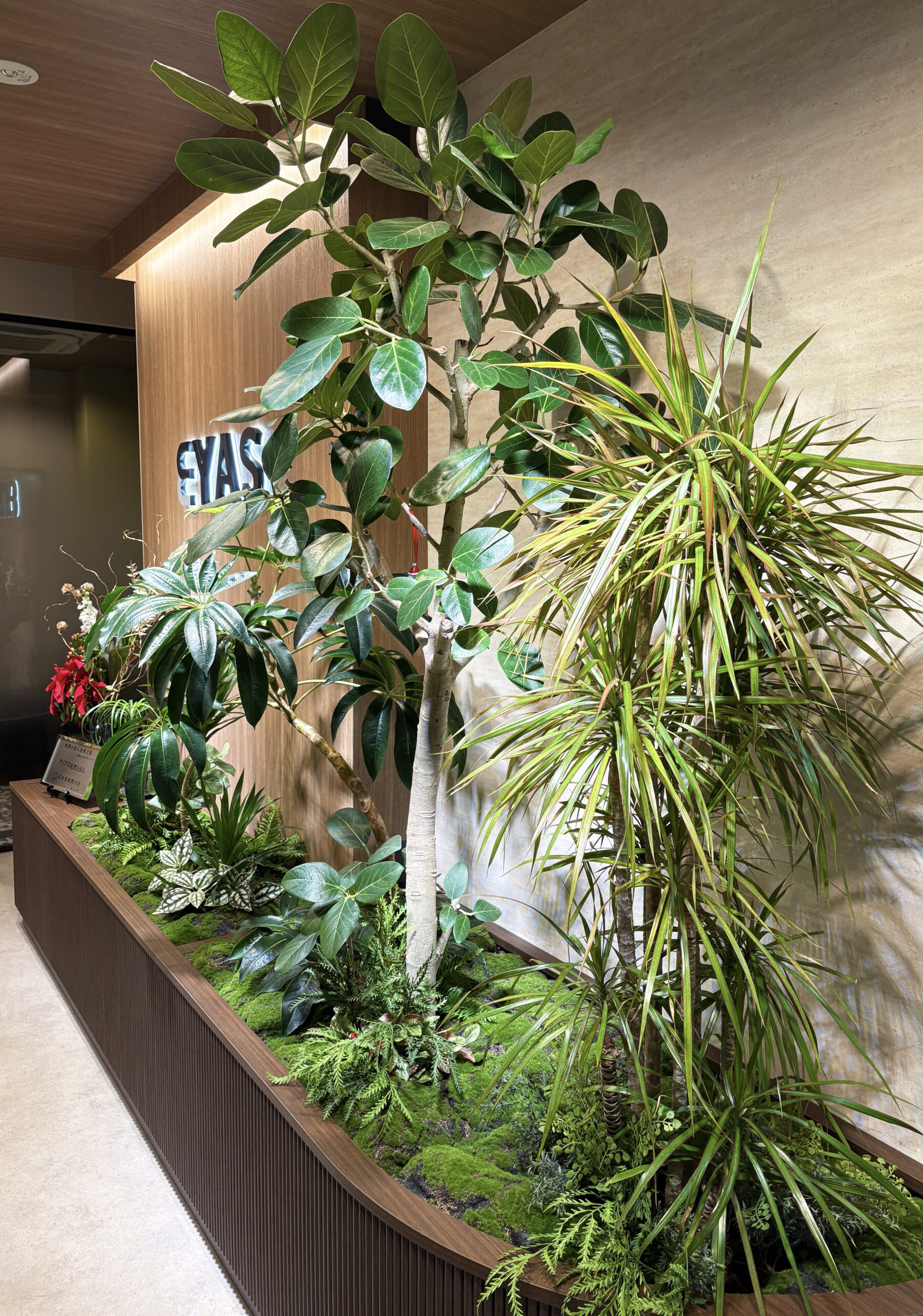 オフィス改善後の変化